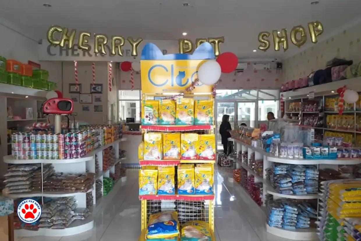 Cerita Sehari-hari di Cherry Petshop Slarang: Kenapa Pemilik Hewan Cilacap Memilih Kami?